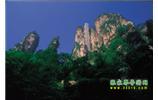 網(wǎng)絡(luò)熱門純玩游：張家界、天子山、袁家界、楊家界 自助三日游