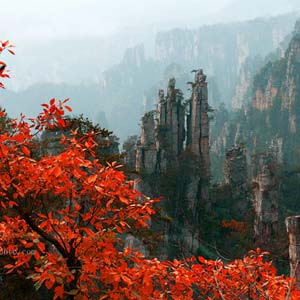 休閑自駕E線：張家界、袁家界、天子山、寶峰湖、鳳凰古城、沱江泛舟四晚五日游