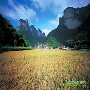 張家界往返純玩散拼：矮寨大橋、德夯苗寨、鳳凰古城、芙蓉鎮(zhèn)二日游