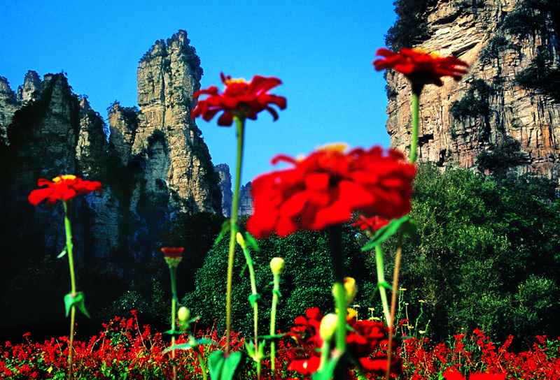 LF線：張家界國家森林公園、猛洞河漂流、鳳凰古城純玩自助五日游